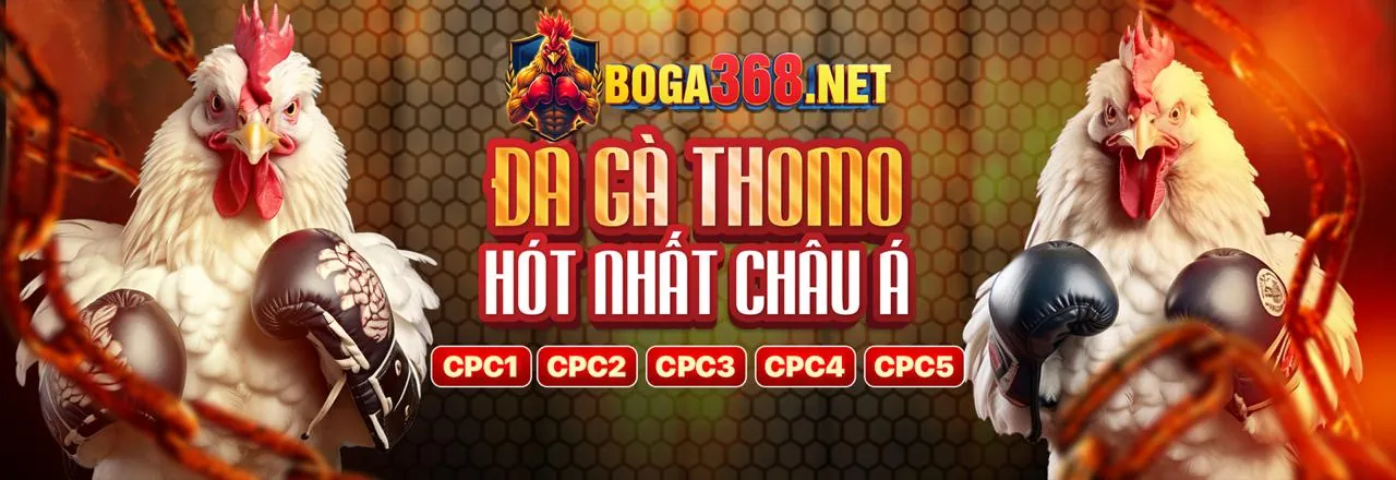 Minh họa chính sách và điều khoản