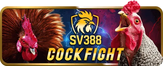 Kèo cược Meron tại v6bet link vào